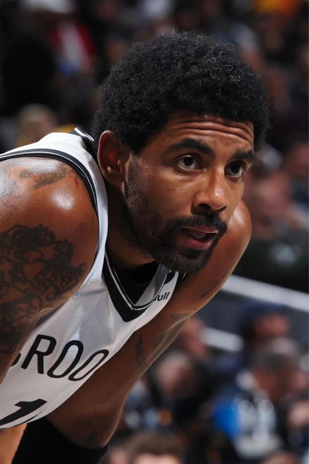 居民应对秋 居民应对秋