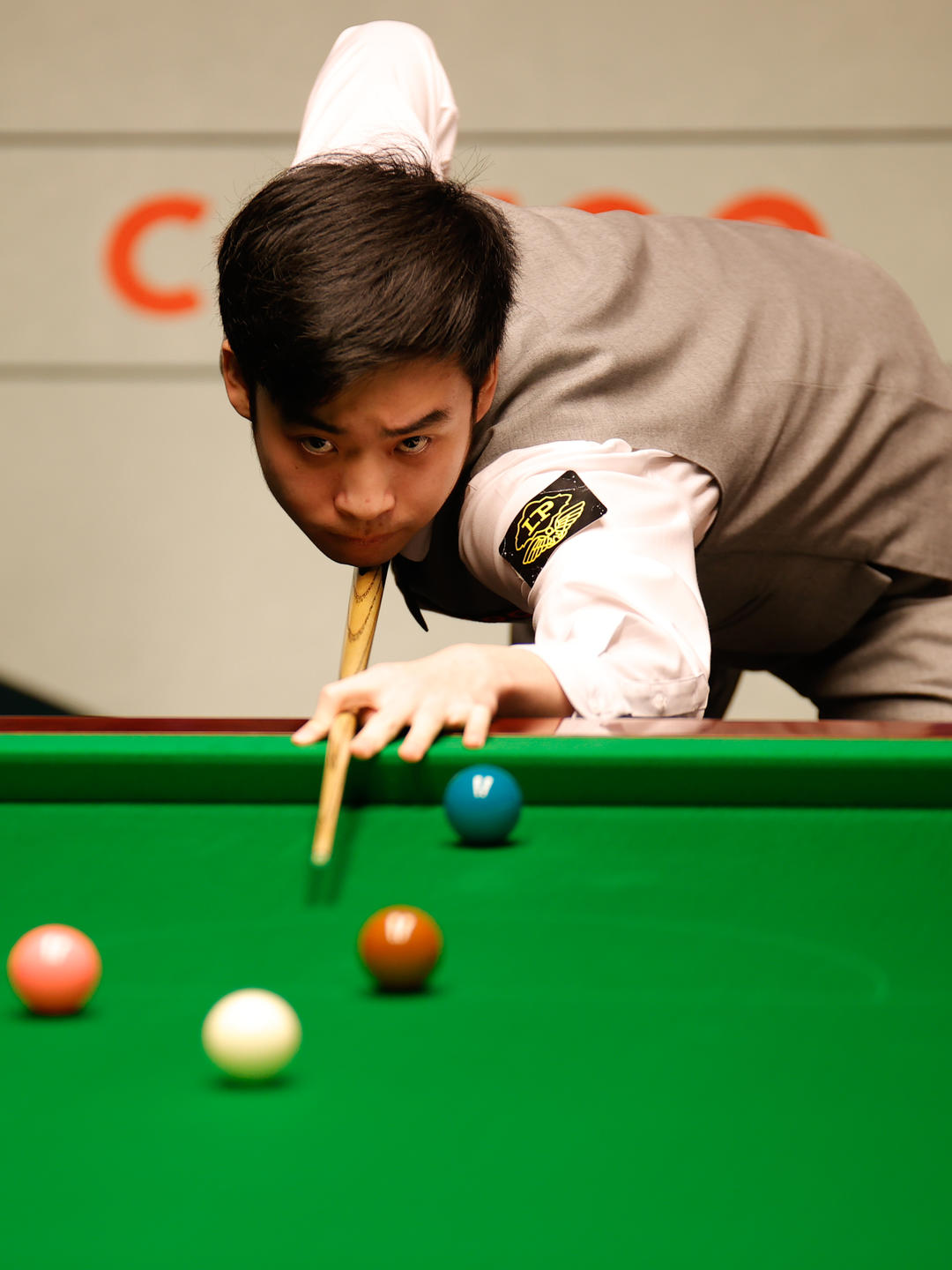 他们希望在 他们希望在